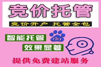 竞价代运营助力企业实现精准营销案例